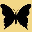 Arizona Swallowtail Butterfly